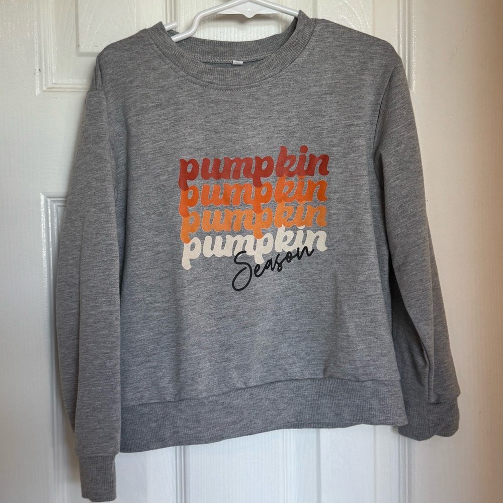 4/$15 Pumpkin Season Sweatshirt Kids (Size 5-6)